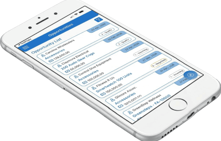 Mobile Mockup Right